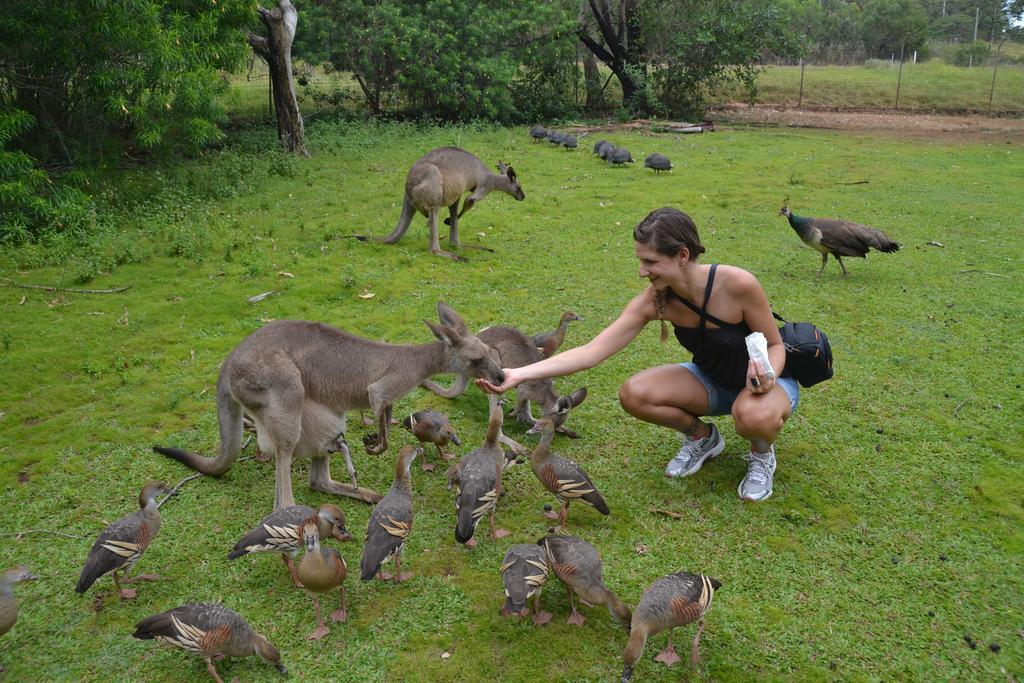 Coral Inn Boutique Resort Yeppoon Eksteriør bilde